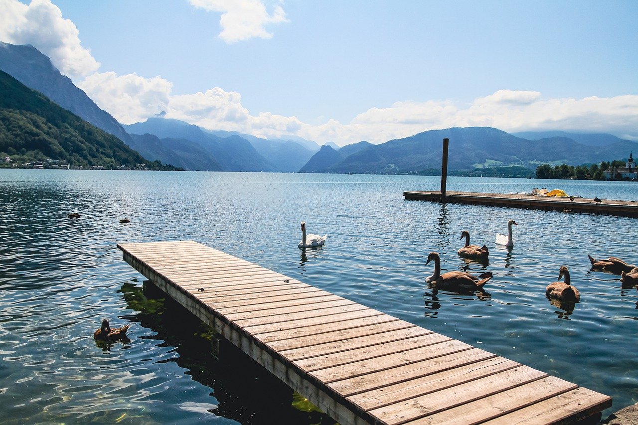 lake, jetty, swans-6576446.jpg